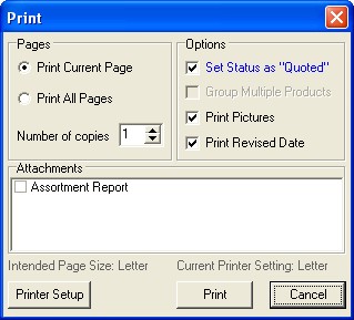 040 Print options